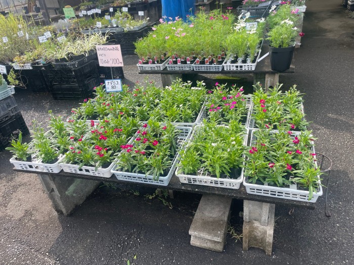 image1 (6)